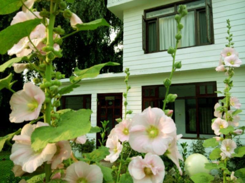 Hotel Manali Castle - Manali (Himachal Pradesh) — Photos 3